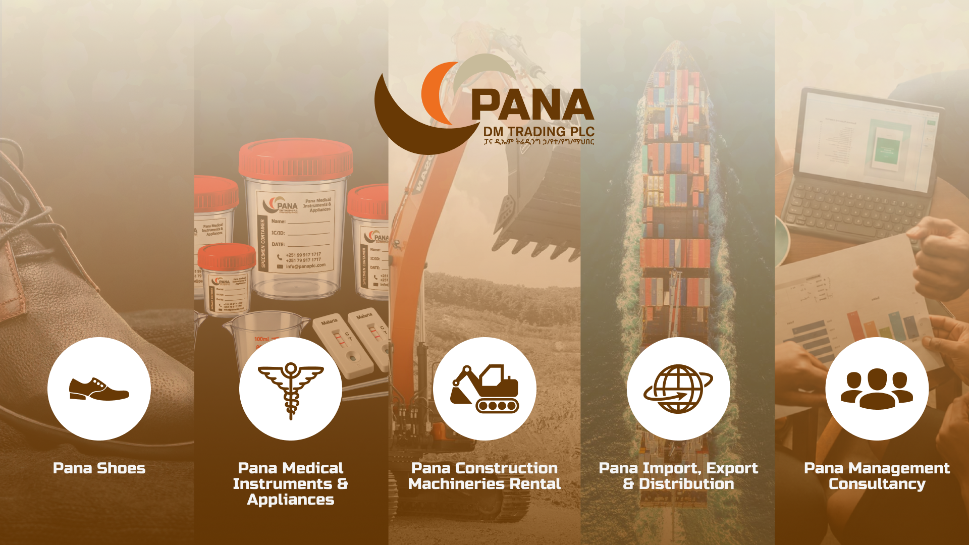 Pana DM Trading PLC operating across five divisions: Pana Shoes, Pana Medical Instruments & Appliances, Pana Construction Machinery Rental, Pana Import, Export & Distribution, and Pana Management Consultancy